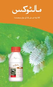 maltox, mealybug killer