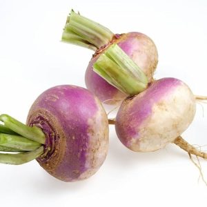 turnip seeds f1