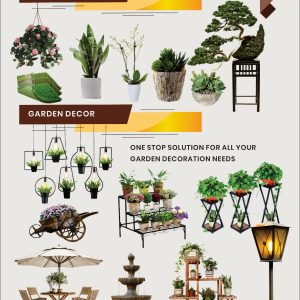 Garden Lights
