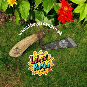 lahori ramba, 2inch wide