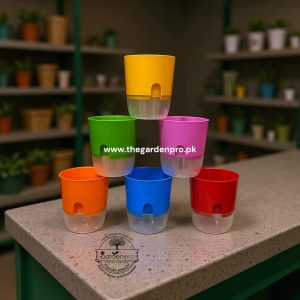 Plastic Pots