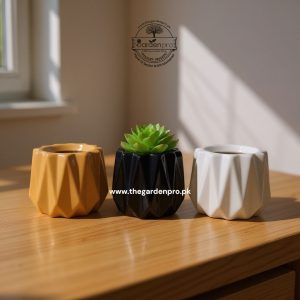 Ceramic pots