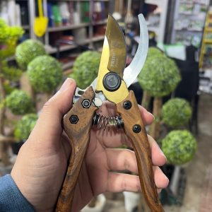 pruning shear, flower cutter (copy)