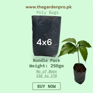 plants poly bags, 4x6inch pack, poly grow bags