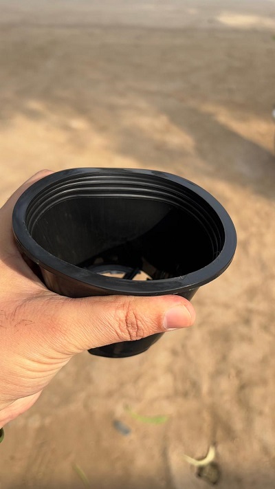 bundle pack of plastic black pots 4inch bundle pack of plastic black pots 4inch