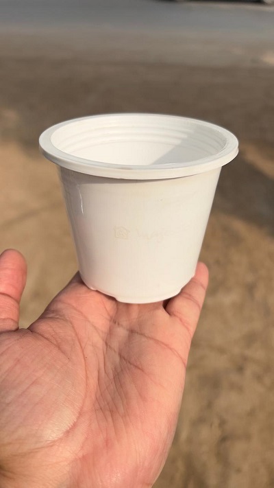 bundle pack of plastic black pots 4inch (copy) bundle pack of plastic black pots 4inch (copy)