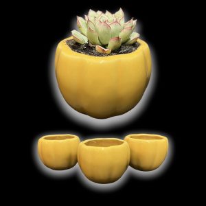 ceramic pot, 3inches white melon (copy)