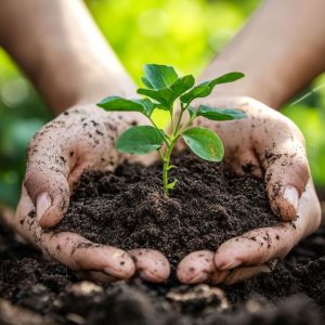 Fertilizers