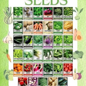 Seeds