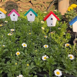 cemented bird house for garden attraction
