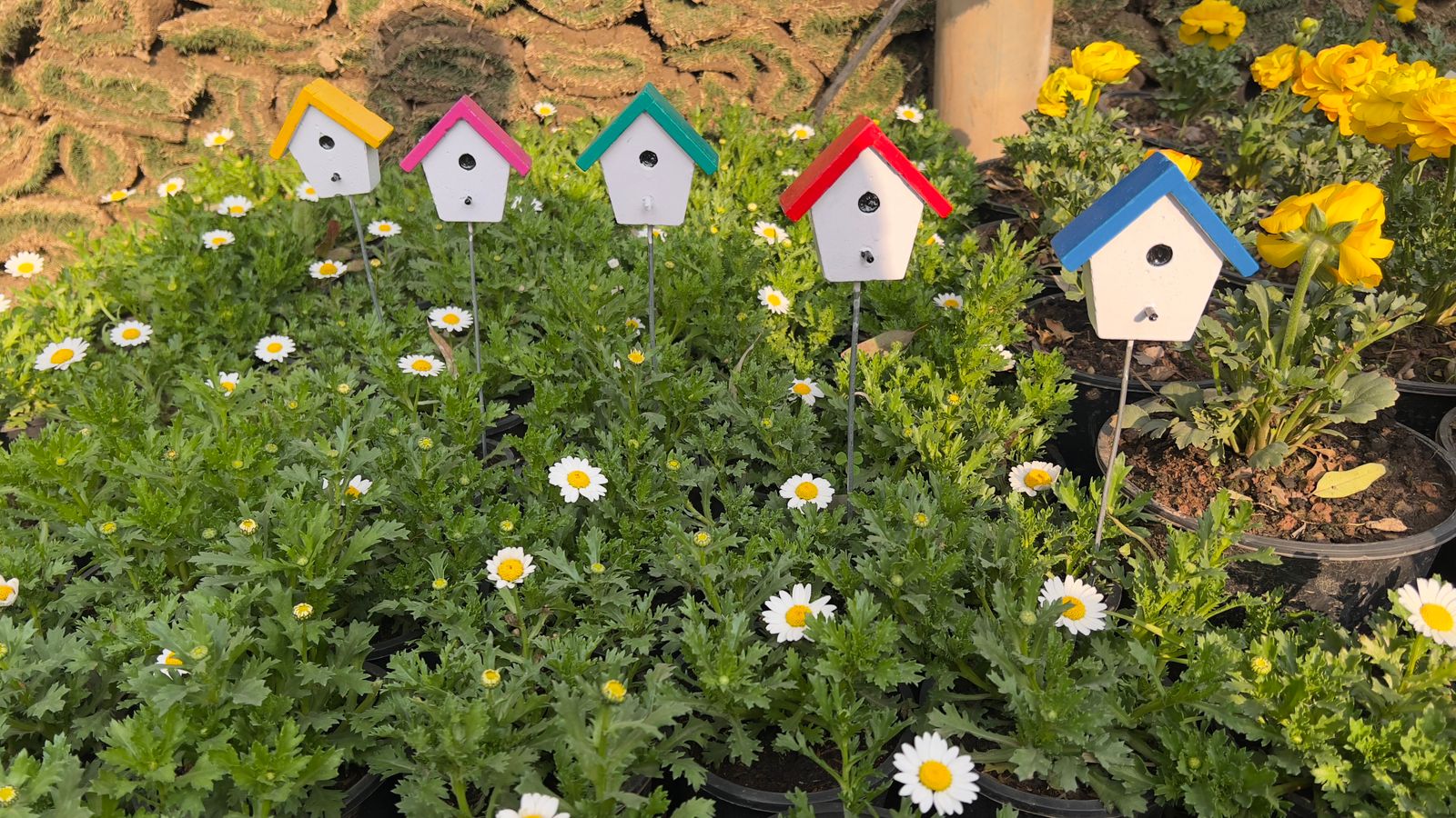 cemented bird house for garden attraction cemented bird house for garden attraction