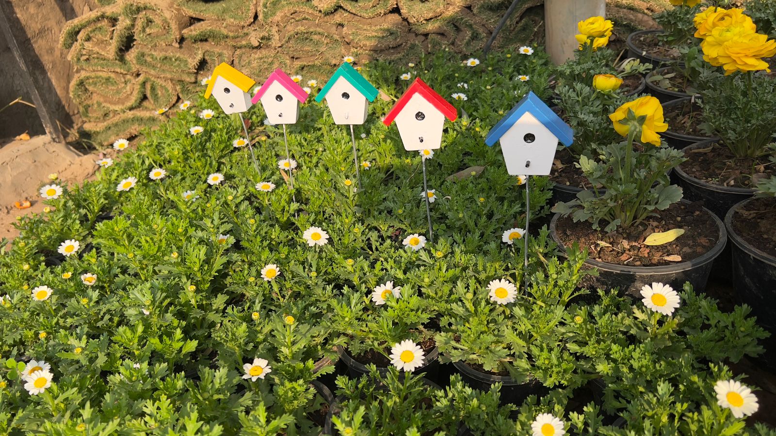 cemented bird house for garden attraction cemented bird house for garden attraction