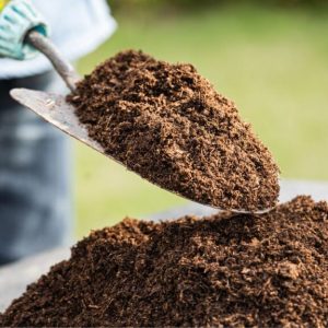 peat moss, 1kg