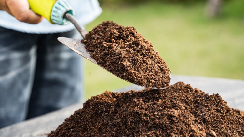 peat moss, 1kg peat moss, 1kg
