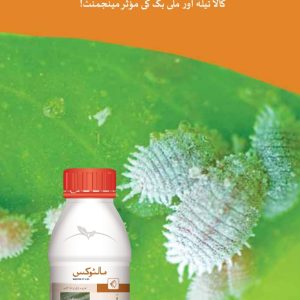 maltox, mealybug killer