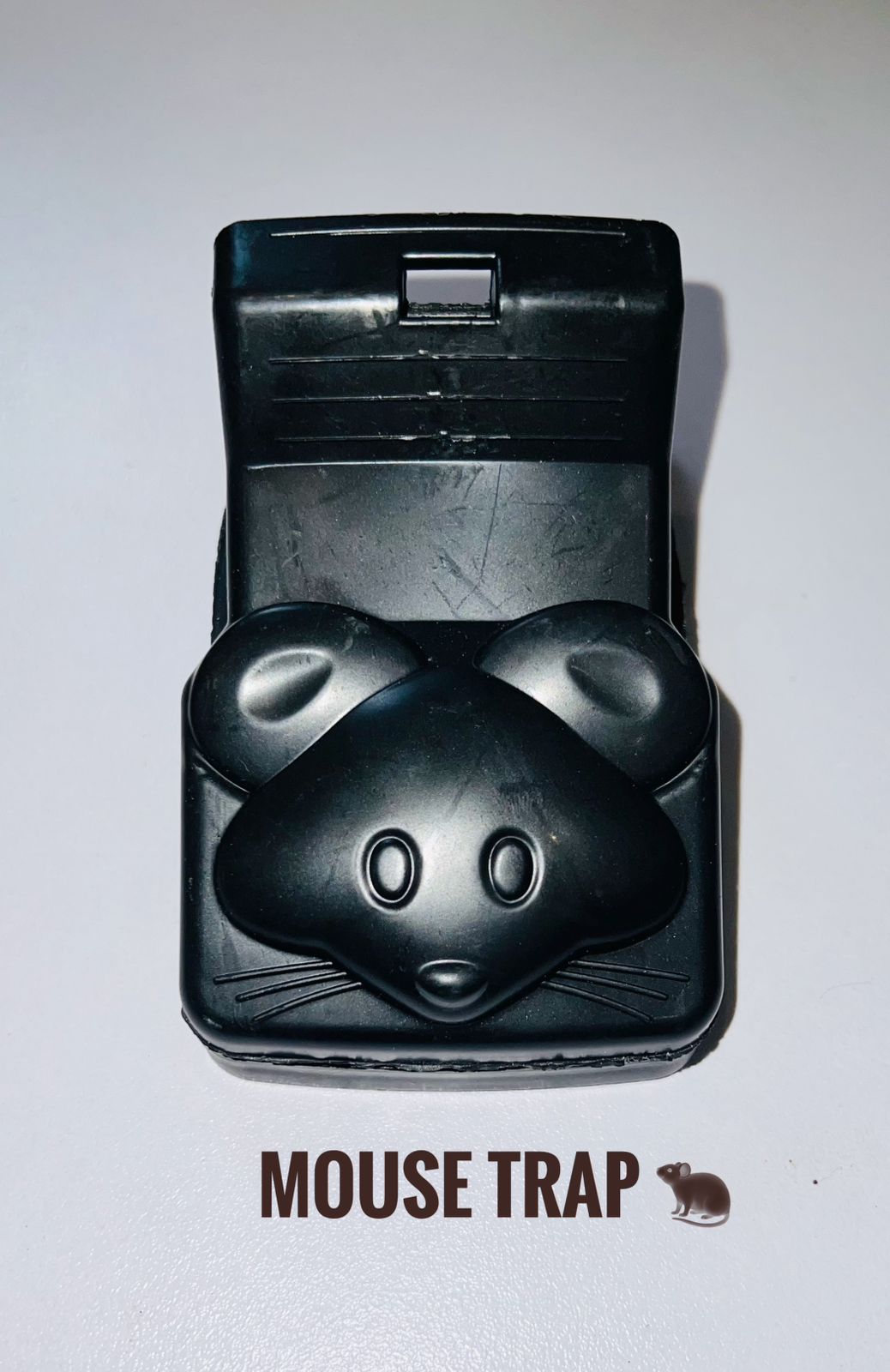 mouse trap, rodent trap mouse trap, rodent trap
