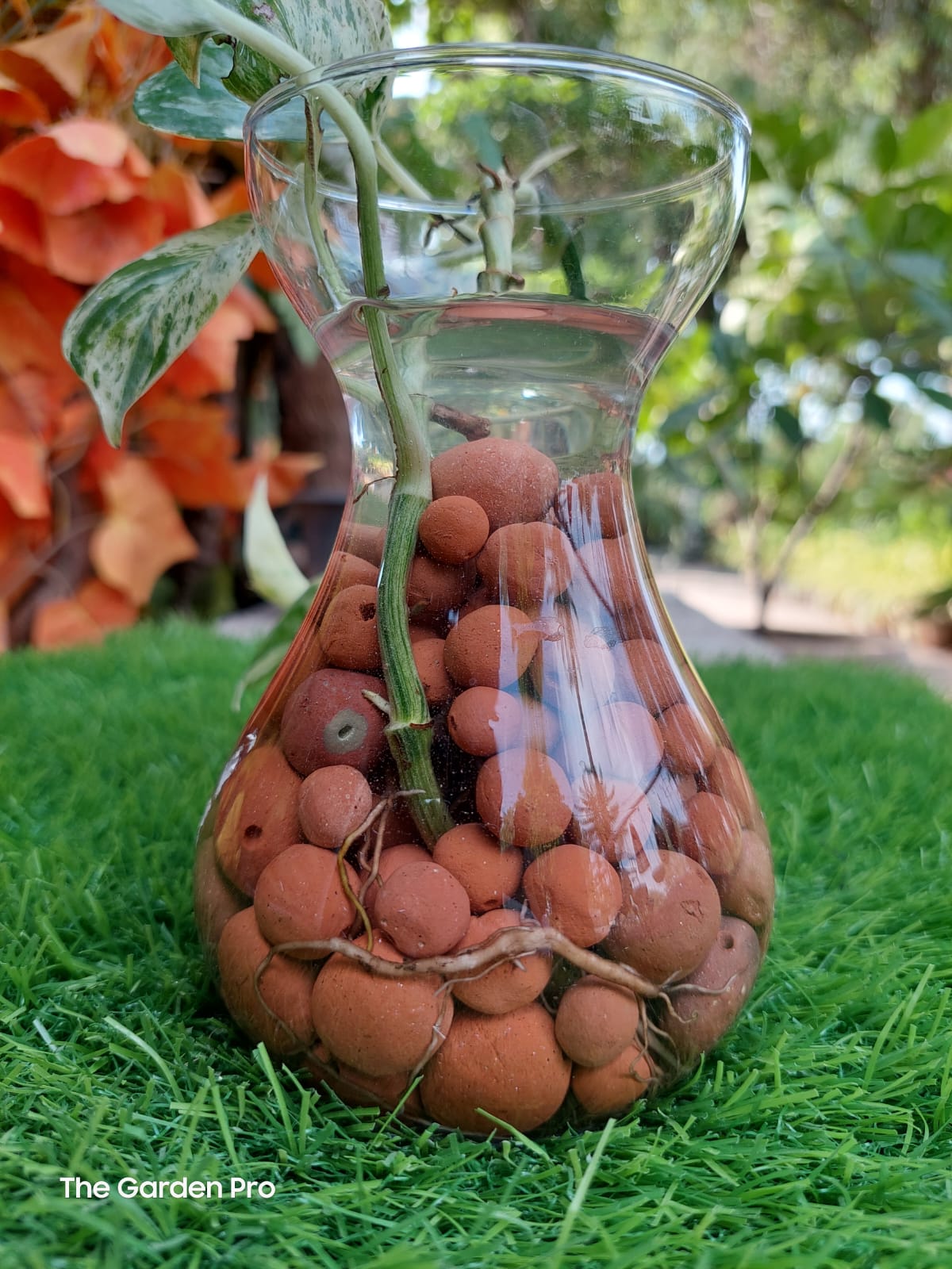 clay balls for plants, leca clay balls for plants, leca