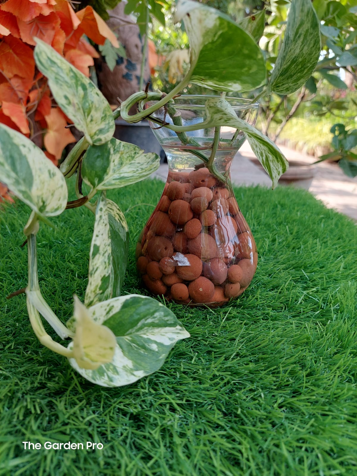 clay balls for plants, leca clay balls for plants, leca