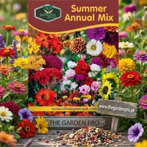 summer flowers mix