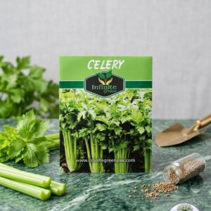 celery