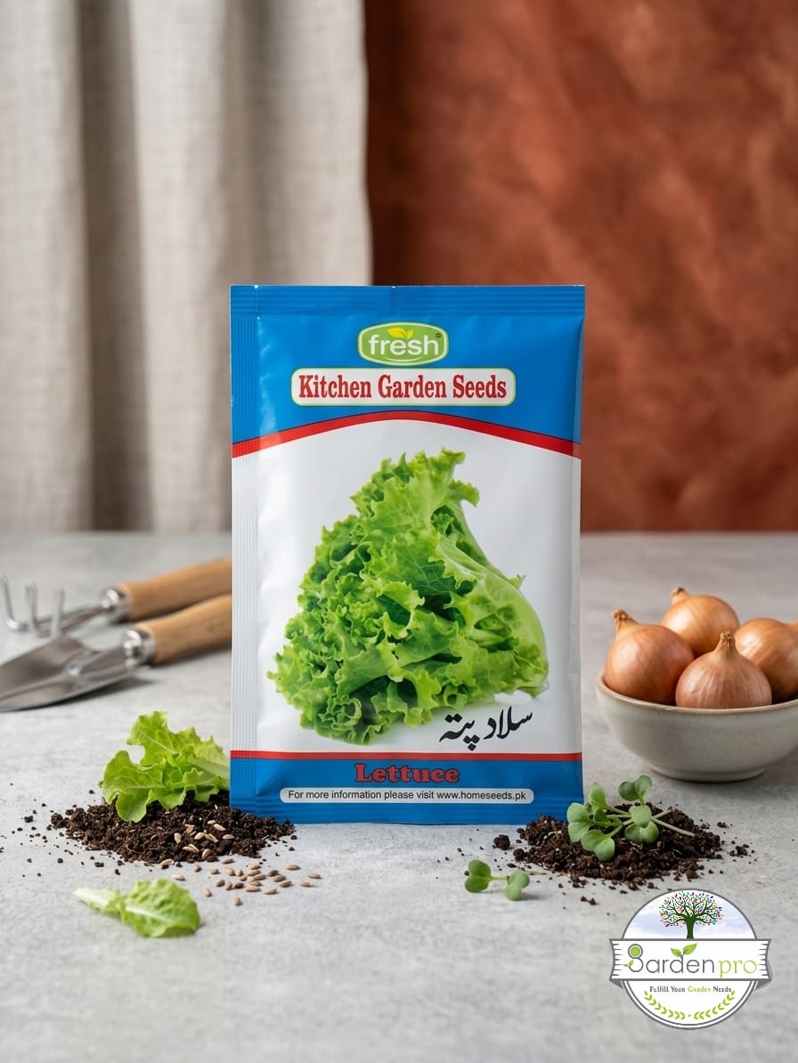 op lettuce op lettuce