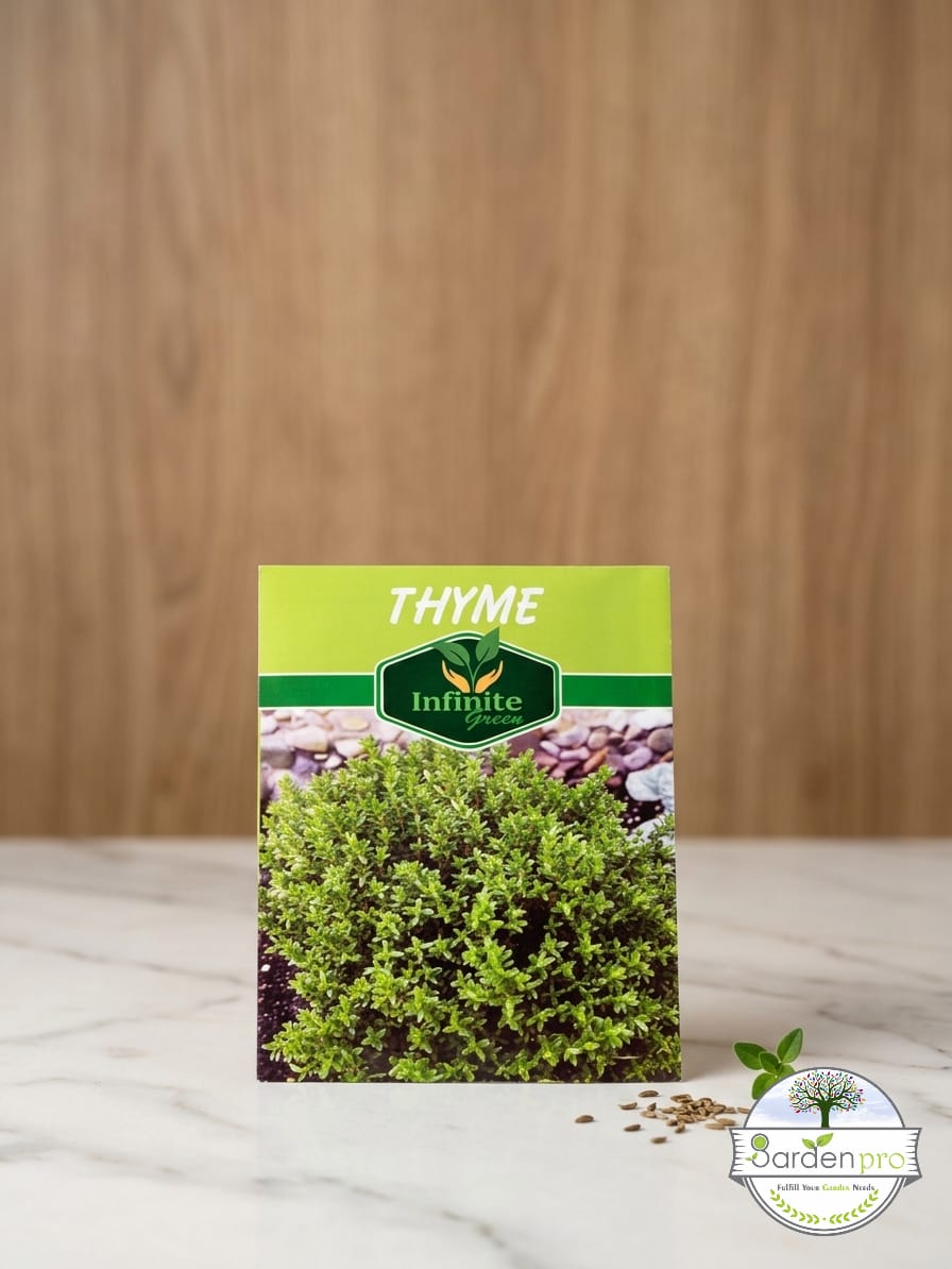 thyme thyme
